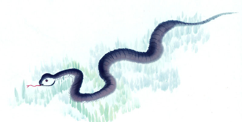 家里发现蛇可以报警吗,家里发现蛇怎么处理