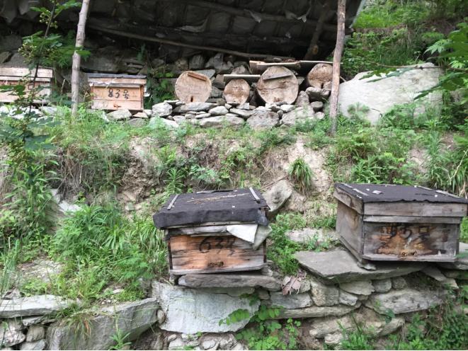 真正的高山土蜂蜜,高山老巢土蜂蜜