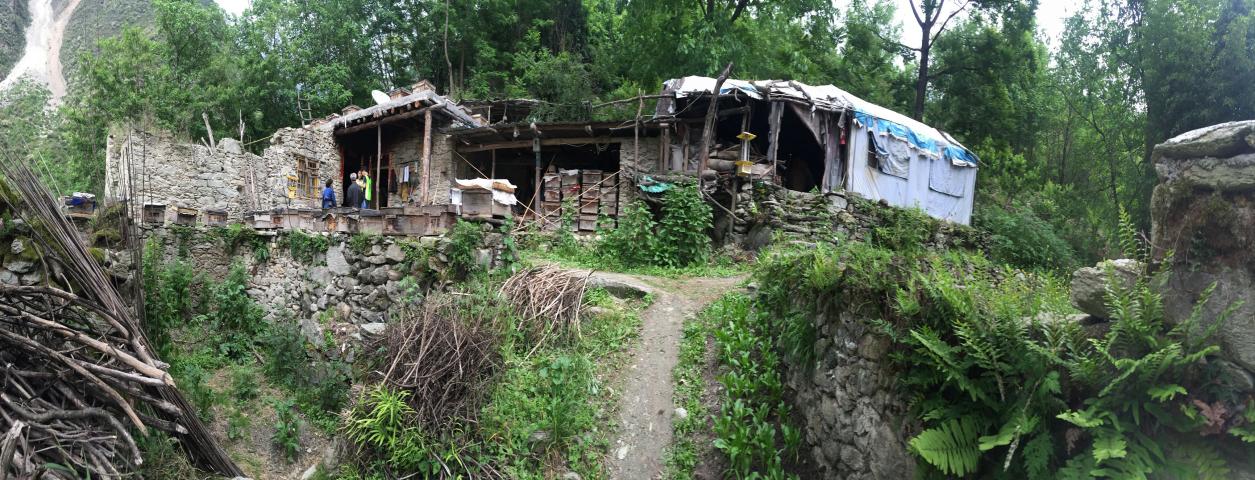 真正的高山土蜂蜜,高山老巢土蜂蜜