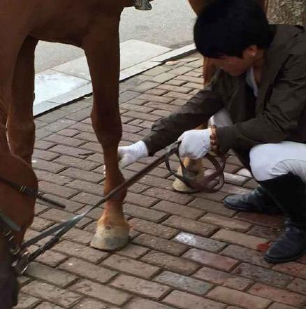 不是吧，宝马被马踹出了个洞！是马太强悍还是车子太脆弱？