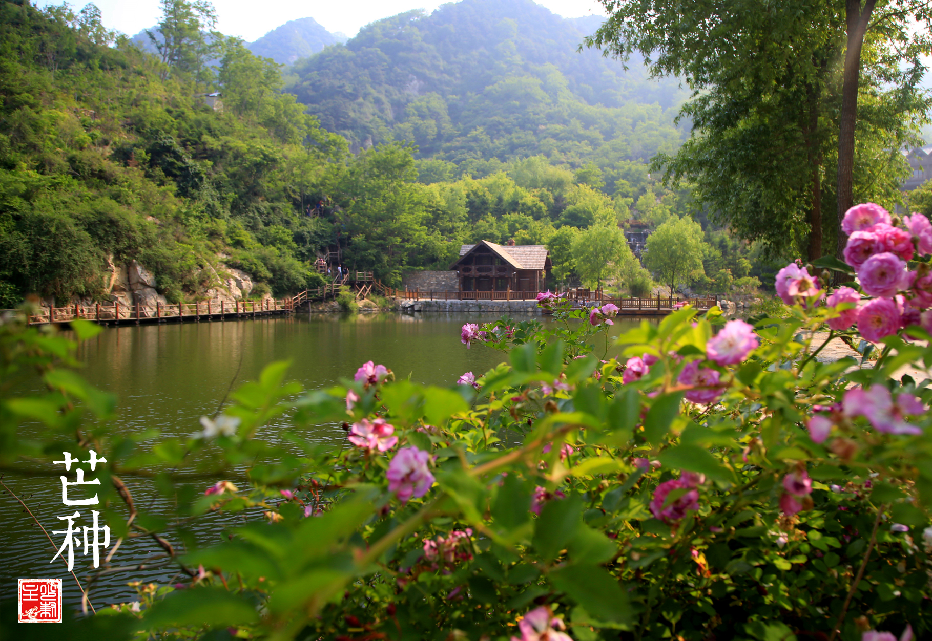 猴年马月是什么说法,猴年马月有什么说法