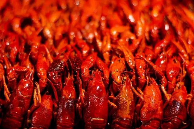 合肥罍街龙虾节怎么免费吃,合肥最好吃的蚌埠龙虾