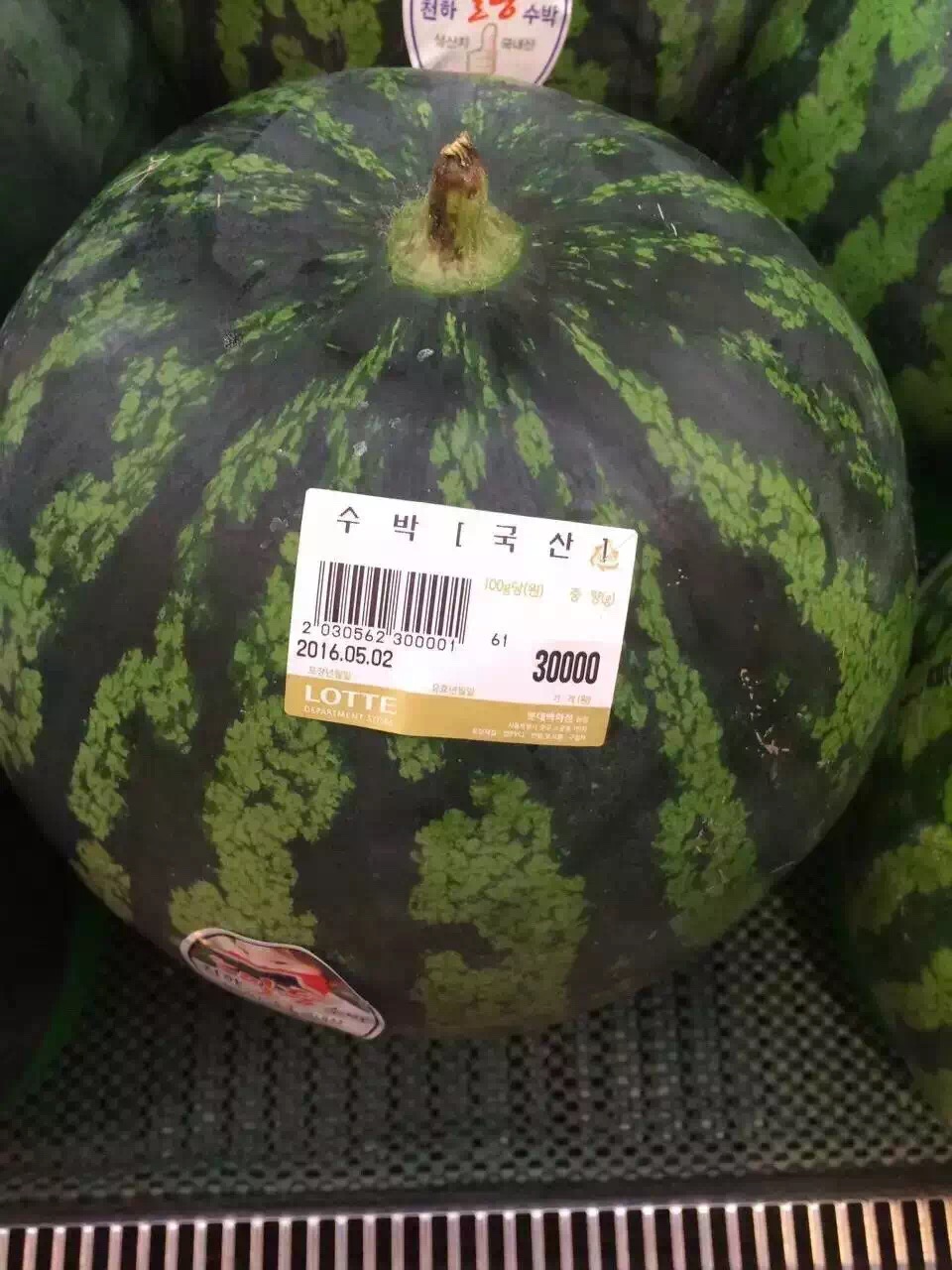 你不敢相信的韩国西瓜-今年这西瓜还能吃得起吗