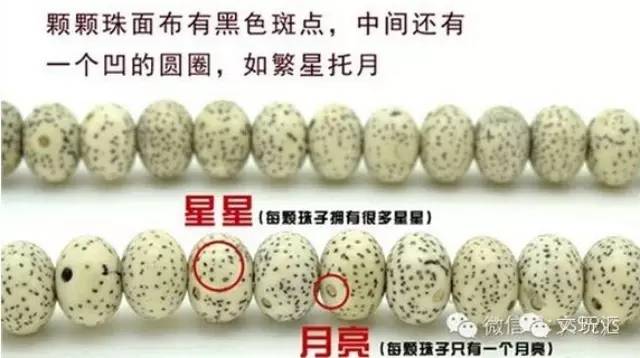 盘点星月菩提的十大问题建议收藏,星月菩提哪种可以玩得最长久