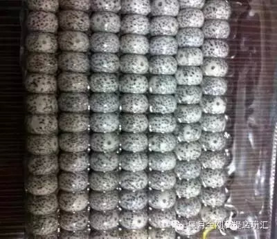 盘点星月菩提的十大问题建议收藏,星月菩提哪种可以玩得最长久