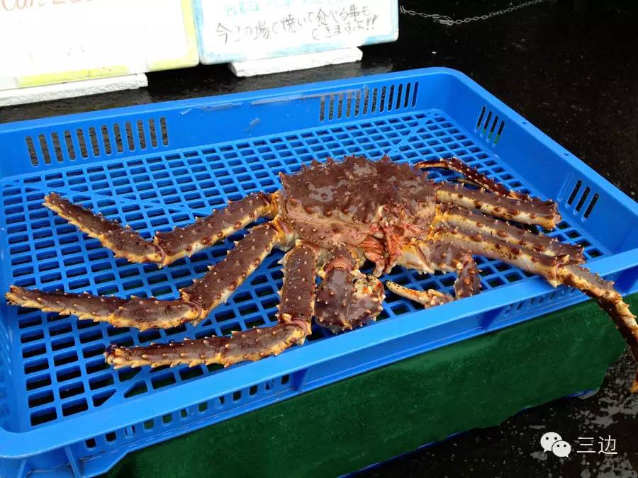 正宗北海道函馆,北海道函馆好去处