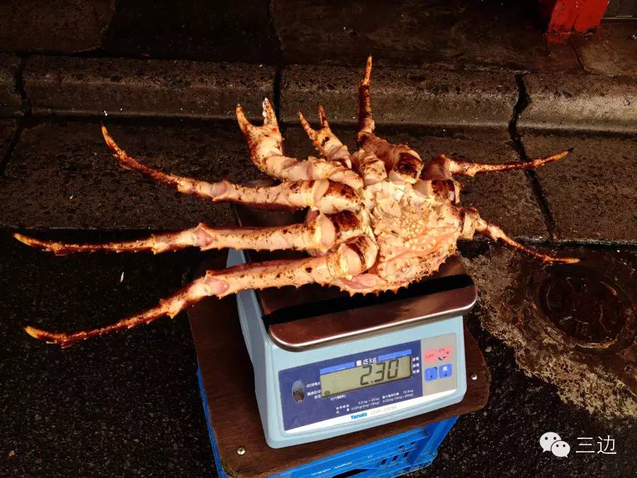 正宗北海道函馆,北海道函馆好去处