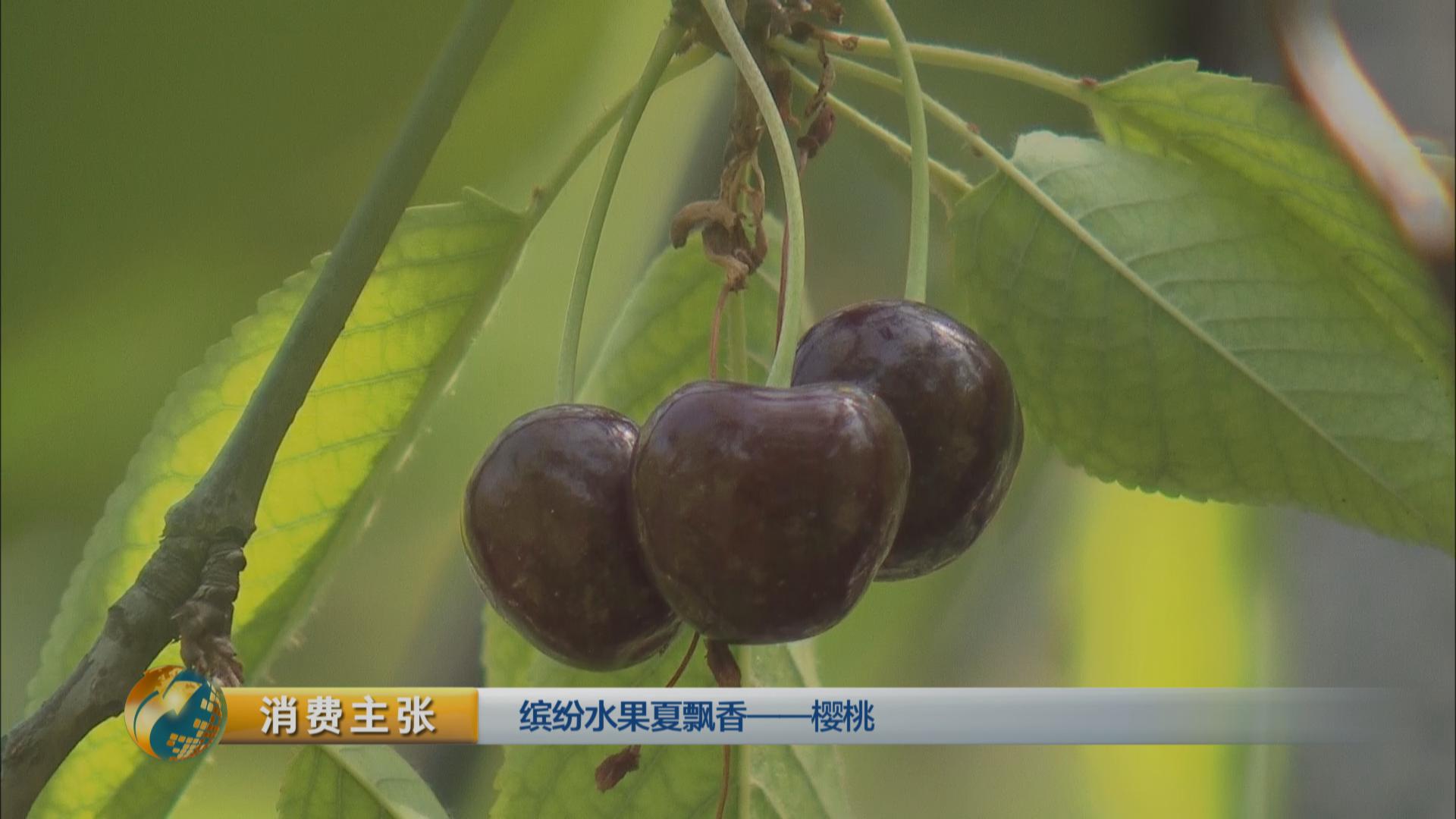 黄色的樱桃未必没熟！吃樱桃的四大秘诀你知道吗？