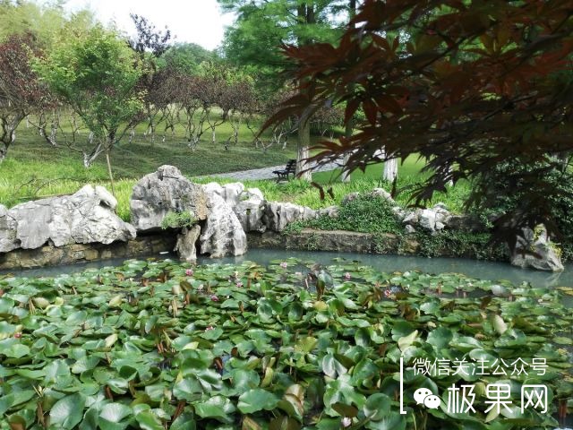 翻转吧摄像头，前后都能照出完美的照片：荣耀7i体验