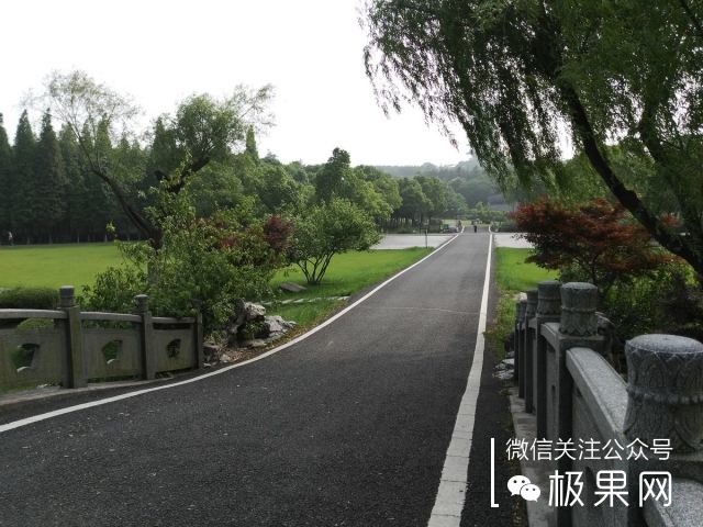 翻转吧摄像头，前后都能照出完美的照片：荣耀7i体验