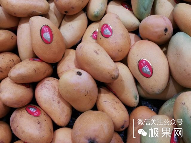 翻转吧摄像头，前后都能照出完美的照片：荣耀7i体验