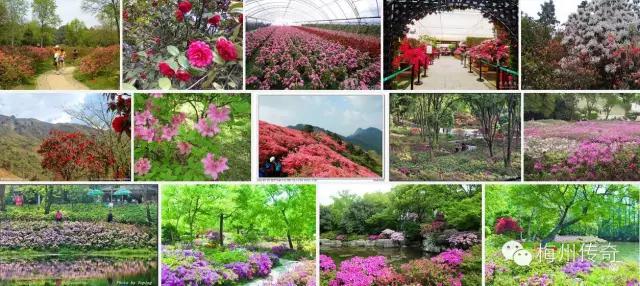 梅州客天下旅游产业园的特点,梅州梅县客天下5a级旅游区