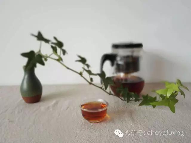 你不懂，喝普洱茶的最高境界就是飘逸杯