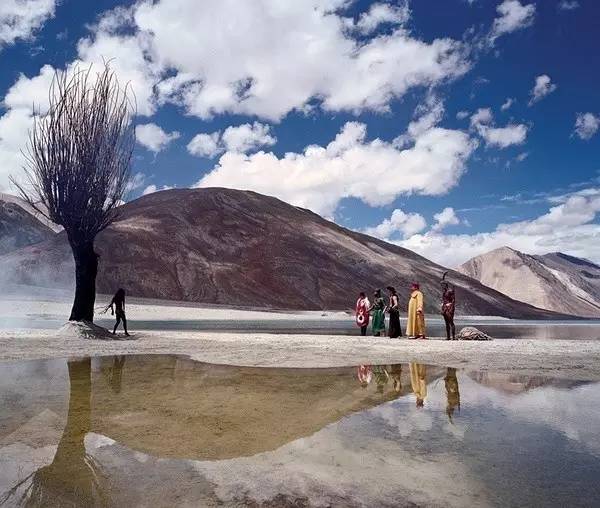 爱丽丝梦游仙境唯美风景,爱丽丝梦游仙境超美场景
