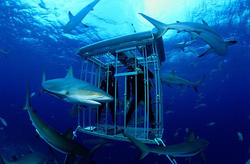 别忽视最好又最简单的运动,实用又有效的运动