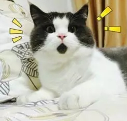 济南撸串千佛山,济南市中区撸串