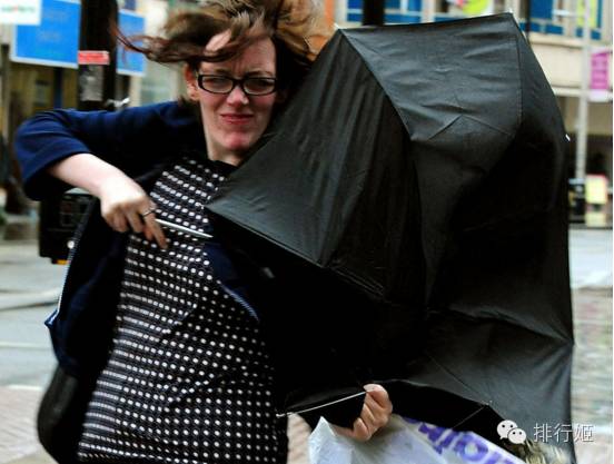 日本皇室御用雨伞,雨伞宫廷风