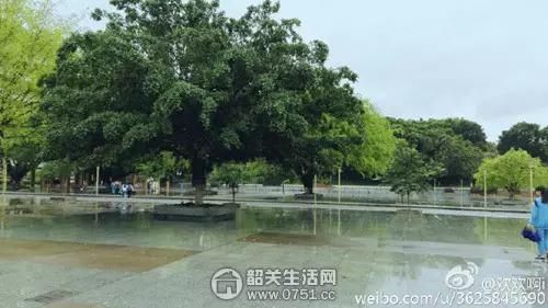 乐昌重视体育的学校,韶关市乐昌中学