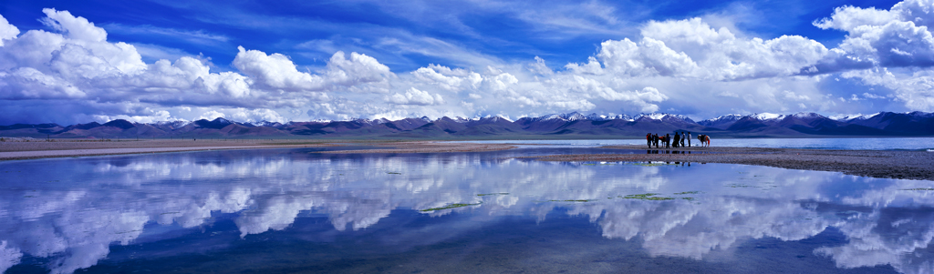 不顺心时候可以像疯狗那样发狂,不顺心的时候你可以像狗