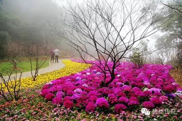 梅州客天下旅游产业园的特点,梅州梅县客天下5a级旅游区