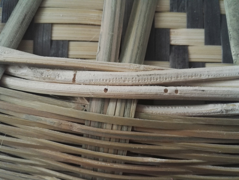 竹编的东西会生虫怎么办,竹编制品有虫子怎么治理