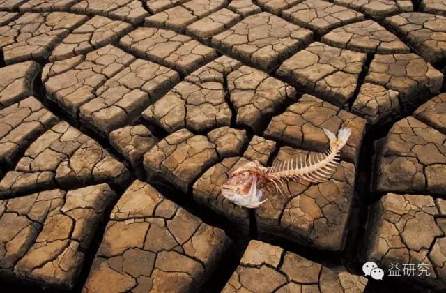 厄尔尼诺变暖概念股,2023厄尔尼诺现象概念股票