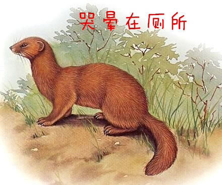 东北异闻2：自杀女孩偶遇“封正”巨蛇，论从蛇到龙的打开方式