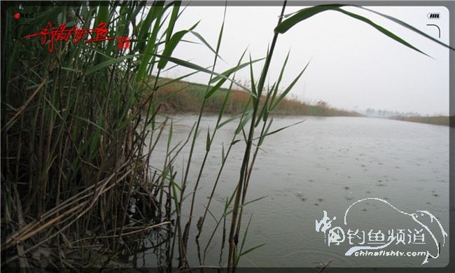 风雨无阻之我爱飞鱼去‘*欢寻**’！