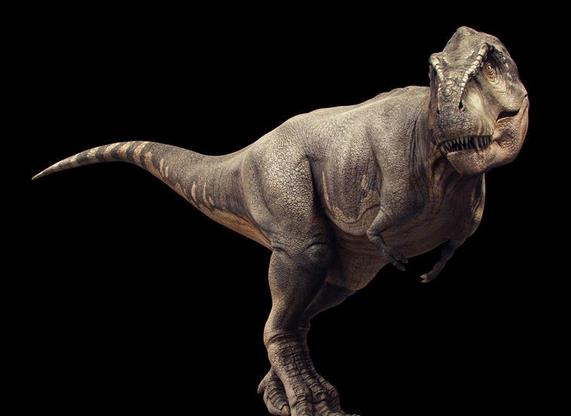 恐龙图片和名字介绍大全集 (儿童认识恐龙的名字和图片)