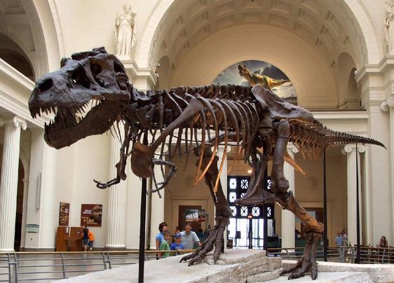 恐龙图片和名字介绍大全集 (儿童认识恐龙的名字和图片)