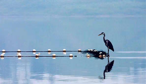 四川哪里有冷门又好玩的地方,四川最漂亮十大湖