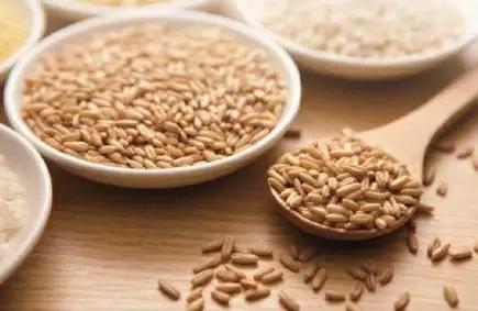 孕期总是半夜饿醒，吃什么好？