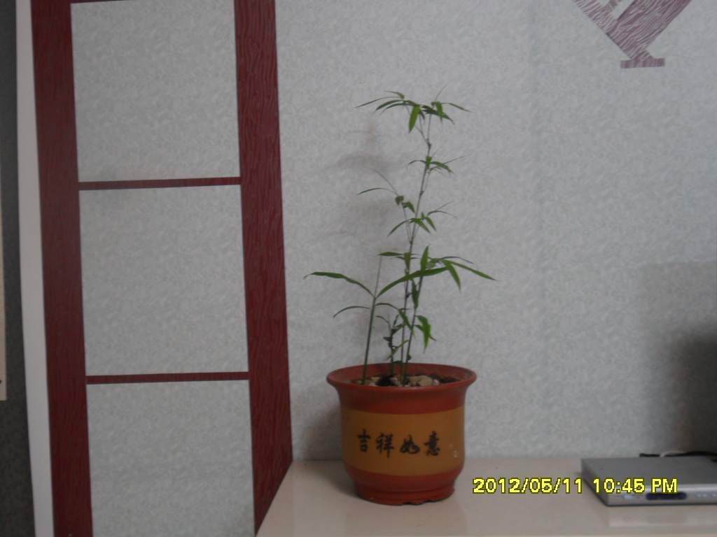 商品房3室一厅的装修图纸,1楼110平方4房1厅装修图纸