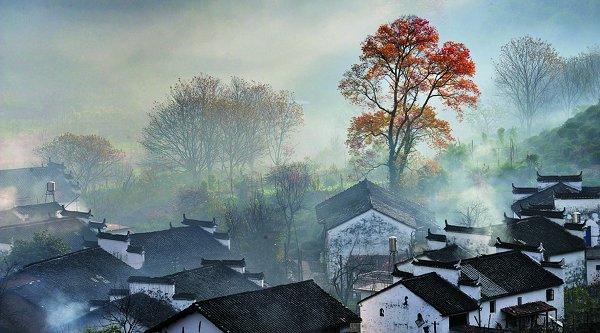 不顺心时候可以像疯狗那样发狂,不顺心的时候你可以像狗