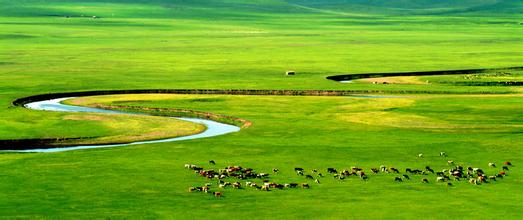 不顺心时候可以像疯狗那样发狂,不顺心的时候你可以像狗