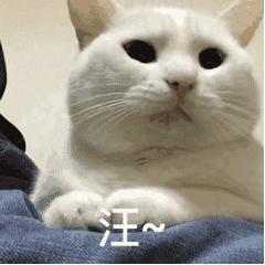 湿气重会导致胸闷气短心烦意乱吗,湿气重会导致胸闷腿软气短吗