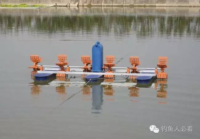 一天温差多少不适合钓鱼,一天中哪个时间段适合钓鱼