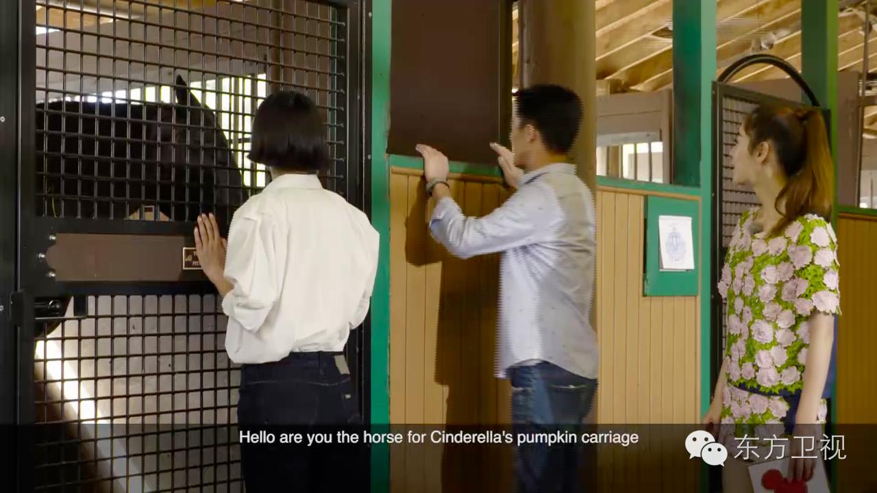 迪士尼童话爱情,迪士尼经典童话睡美人城堡