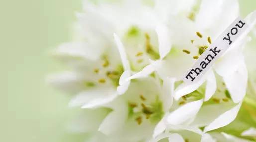 丰宁坝上植树,我去植树