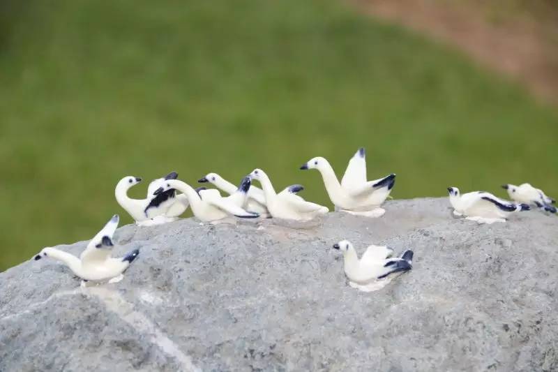 徐冰桃花源的理想一定要实现