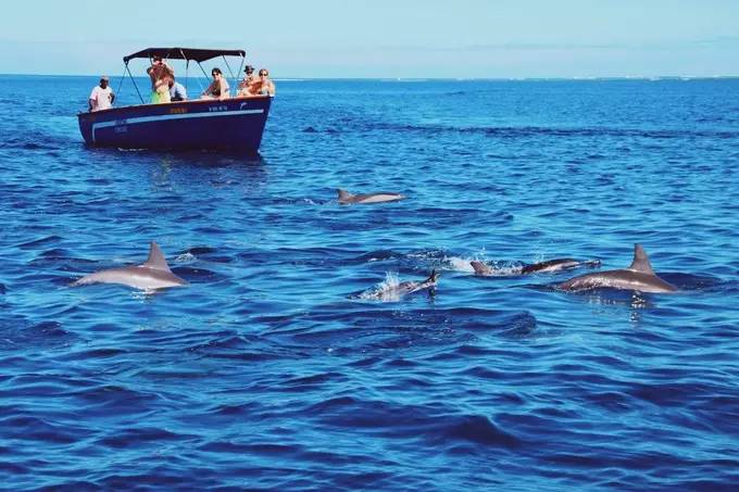 毛里求斯旅游度假区,毛里求斯旅行感觉