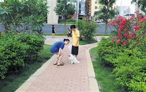 海口城市建设管理,海口城市发展潜力