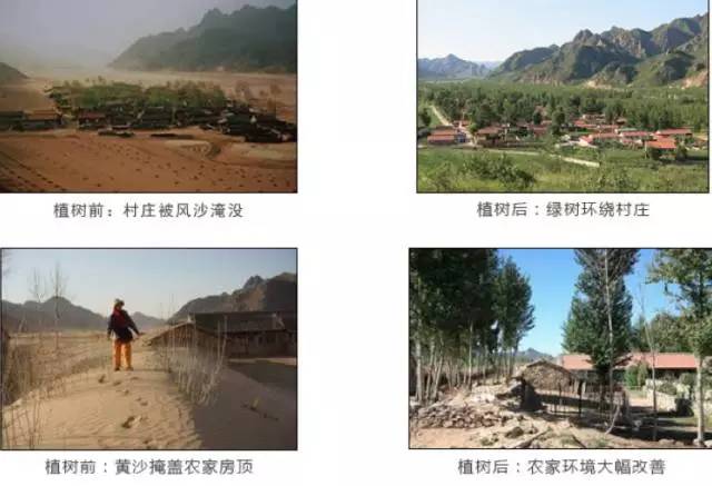 丰宁坝上植树,我去植树