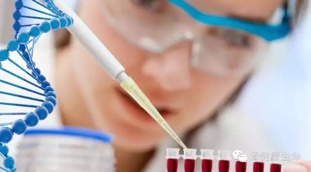 美国Predicine和云健康联合推出针对肺癌和前列腺癌的无创伤癌症检测