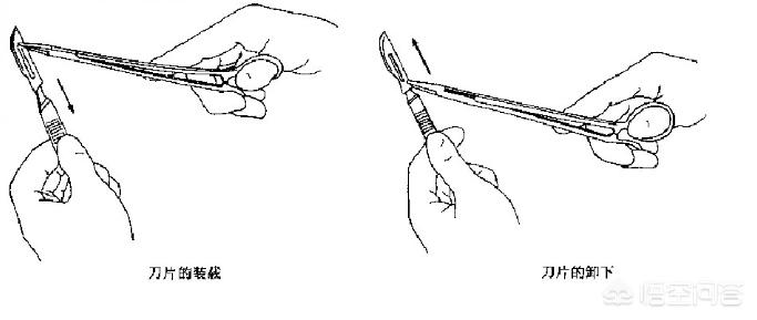 手术刀是什么颜色的,外科医生专用刀
