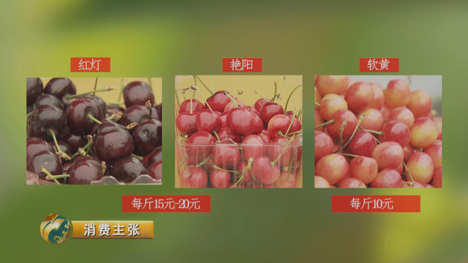 黄色的樱桃未必没熟！吃樱桃的四大秘诀你知道吗？