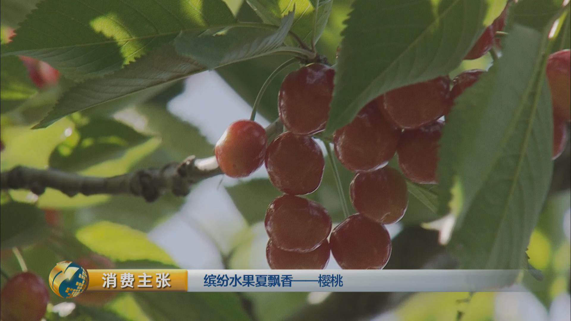 黄色的樱桃未必没熟！吃樱桃的四大秘诀你知道吗？