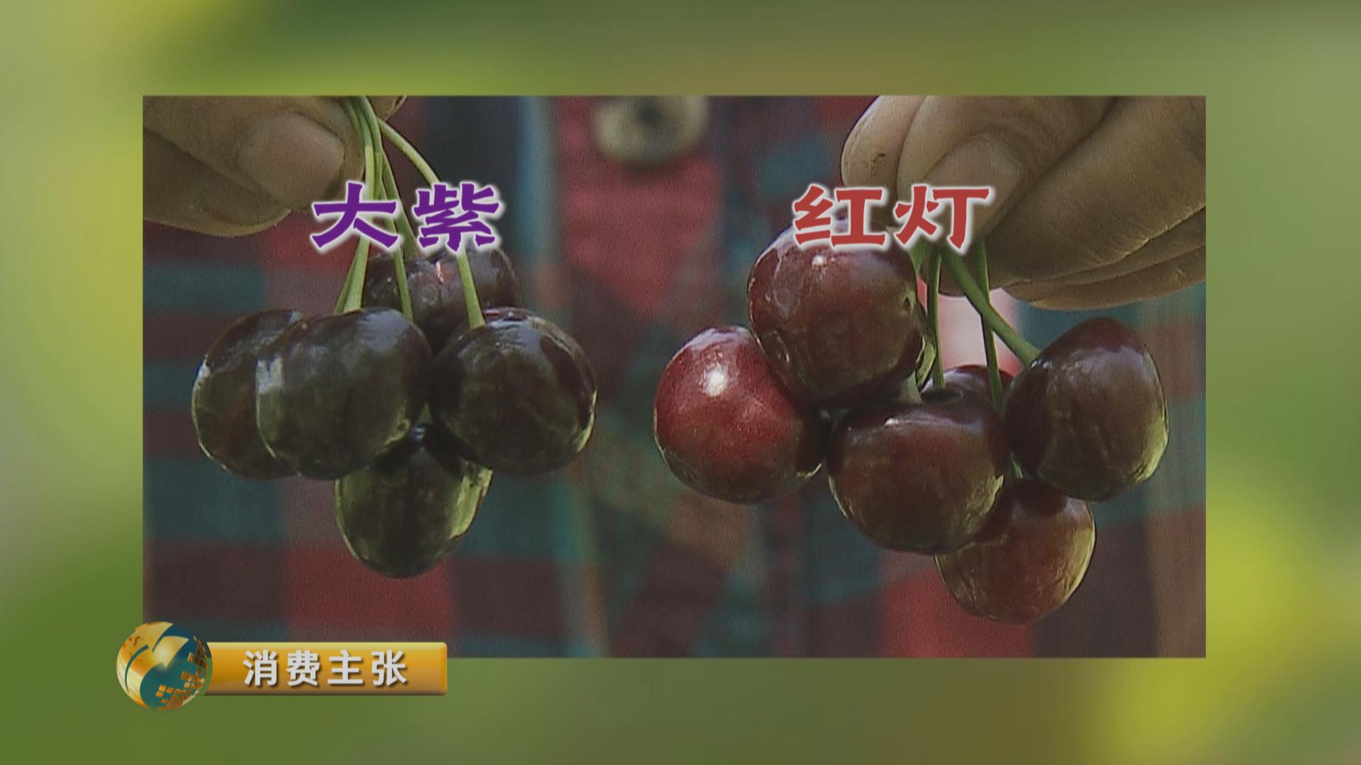 黄色的樱桃未必没熟！吃樱桃的四大秘诀你知道吗？