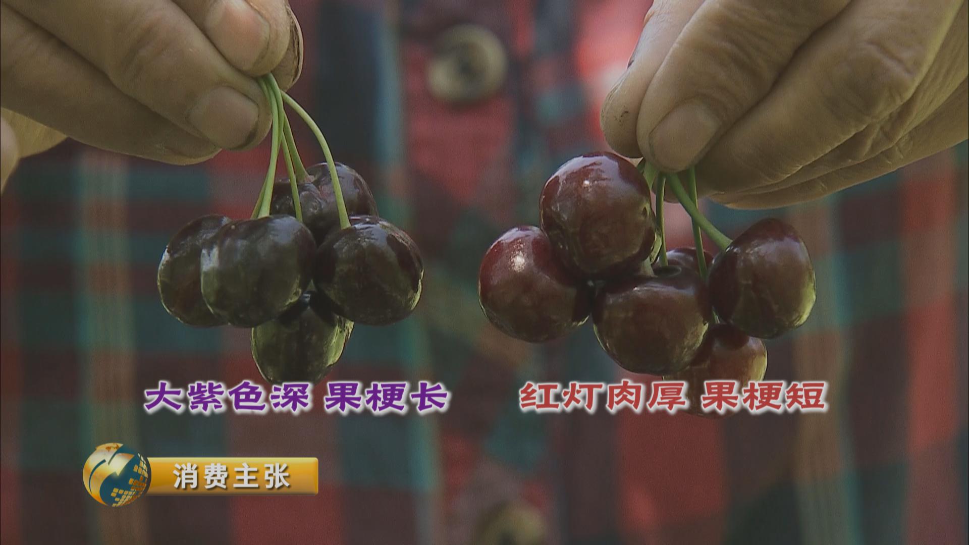 黄色的樱桃未必没熟！吃樱桃的四大秘诀你知道吗？