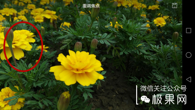 翻转吧摄像头，前后都能照出完美的照片：荣耀7i体验